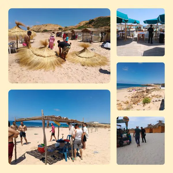 بنزرت/ حملة ضخمة على الشواطئ هذه نتائجها