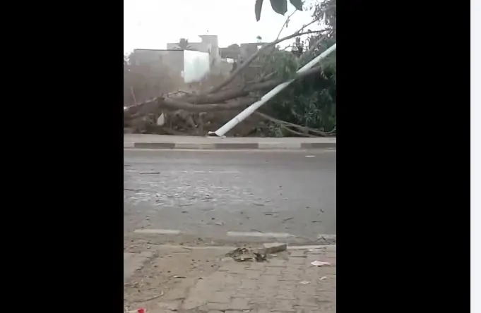 شاهد/ عاصفة ترابية في زغوان تتسبب في خسائر مادية