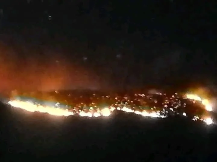 باجة / حريق ضخم بغابة بين تيبار وسيدي إسماعيل (صور)