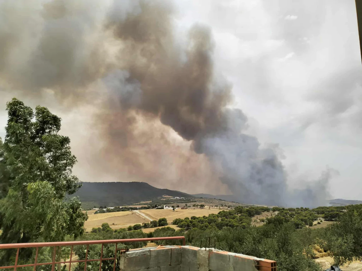 سليانة/ السيطرة على 3 حرائق جبلية