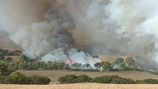 سليانة/ إشتعال بعض الجيوب النّارية من جديد بجبل أولاد بوهاني