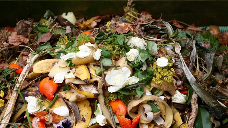 المنستير/ اتفاقيات بين نزل وفلاّحة هذا فحواها