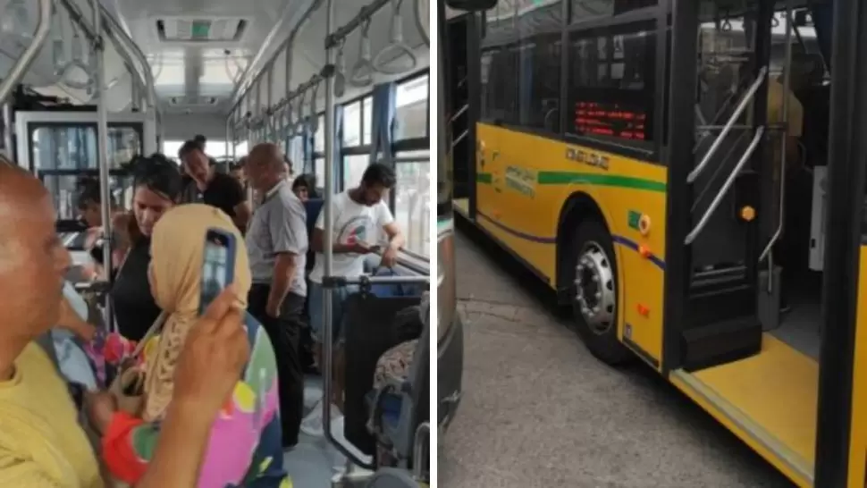 للمرة الثانية.. تهشيم بلور حافلة جديدة موردة من الصين (صورة)