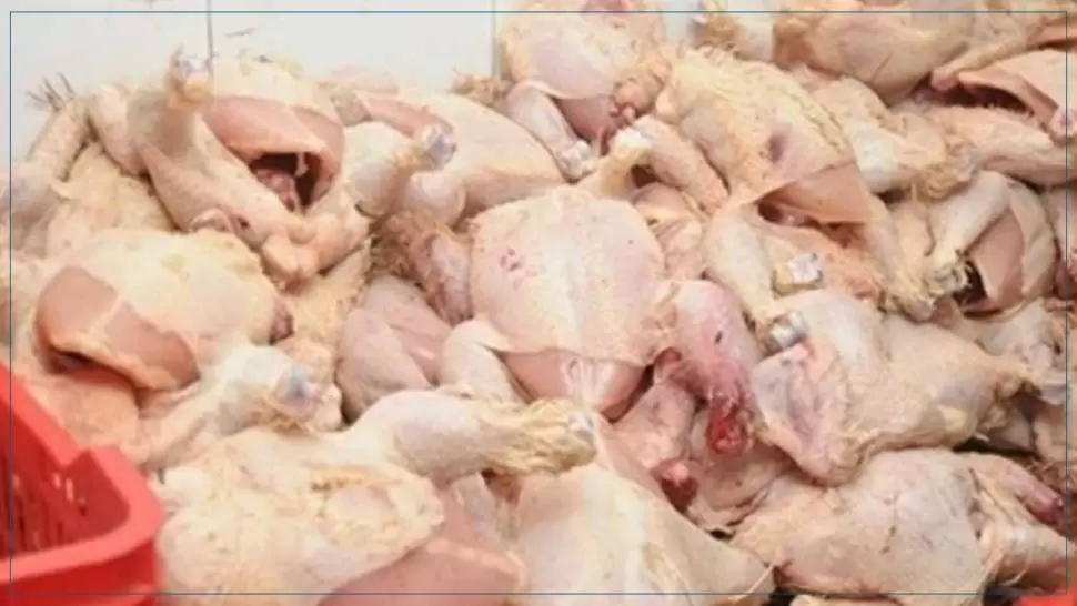 الكاف/ حجز دواجن ومواد غذائية فاسدة