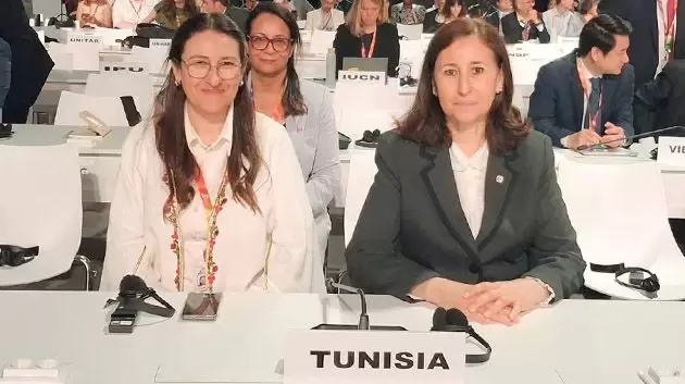 رئيسة الحكومة: محادثات متقدمة لبعث خط جوي مباشر بين تونس ودوالا