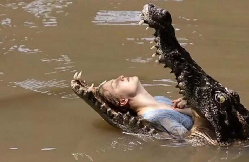 صياد ينجو من فكي تمساح بطريقة مذهلة
