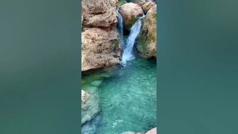 عيون ماء طبيعية عمدون