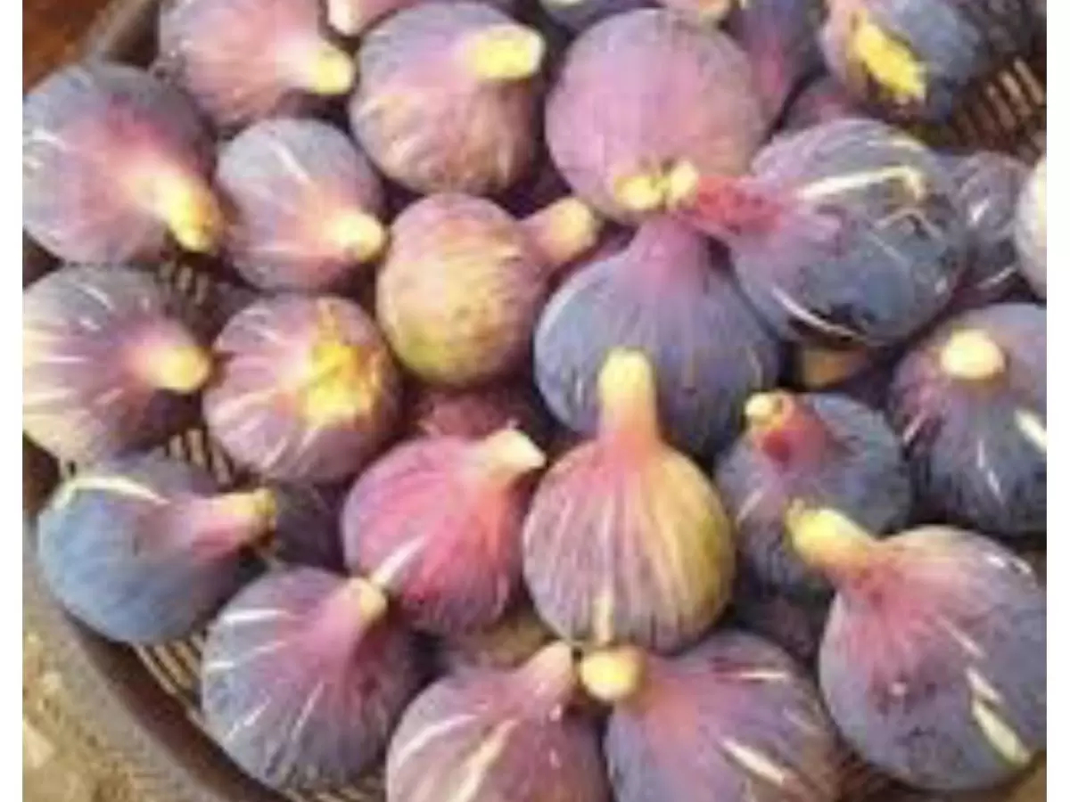 ‘الكرموس بـ25 دينارا”!! لماذا؟