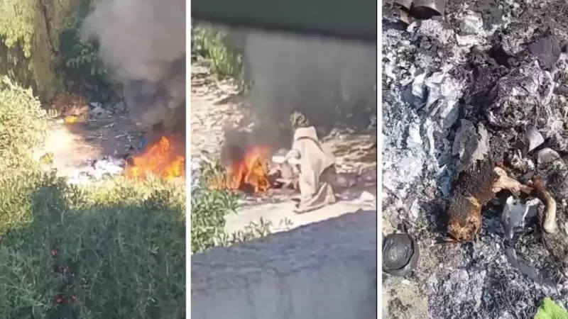 إيقاف إمرأة ظهرت في فيديو تحرق القطط