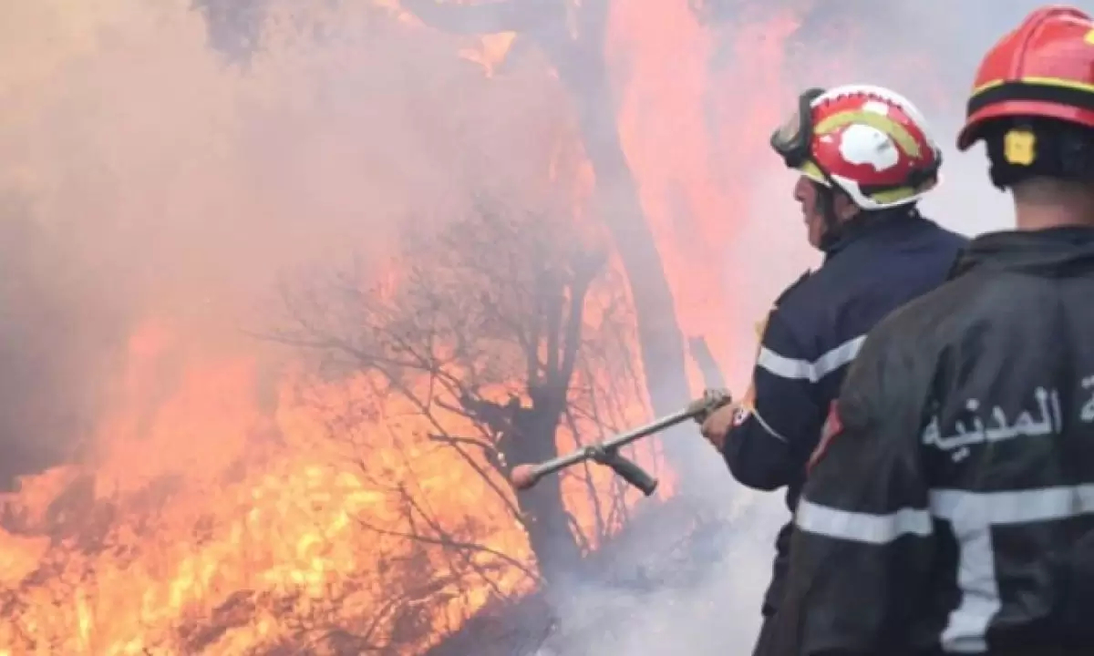 115 تدخلًا لإطفاء الحرائق خلال الـ24 ساعة الماضية