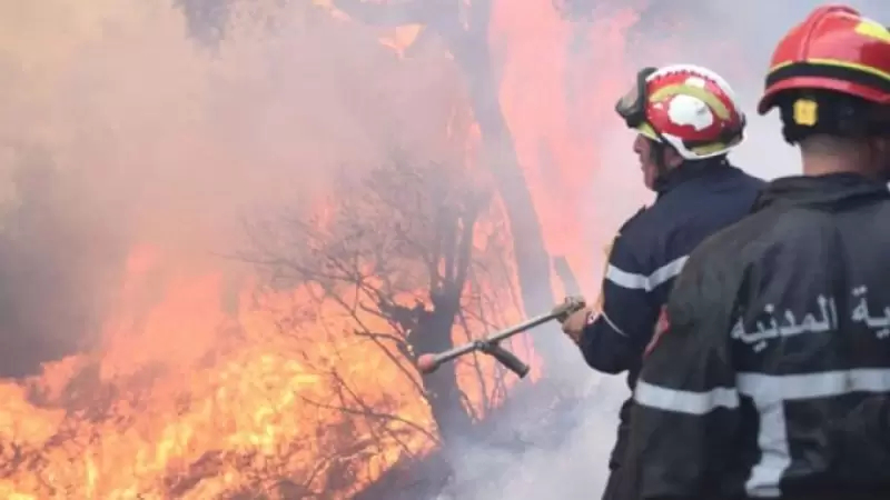 الحماية المدنية