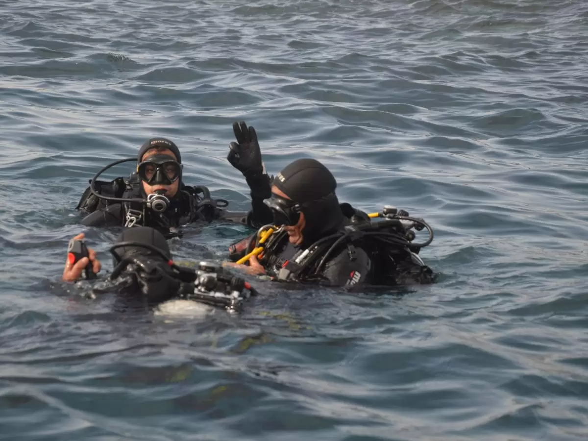 الحماية المدينة تقوم ب530 تدخلا في 24 ساعة