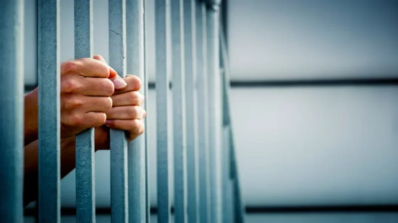 هذا ما تقرر في قضية المعتدي على كلب بـ”بالة”