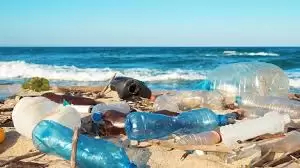 خلال الصيف/ 8 آلاف متر مكعب من الفضلات تلقى في الشواطئ