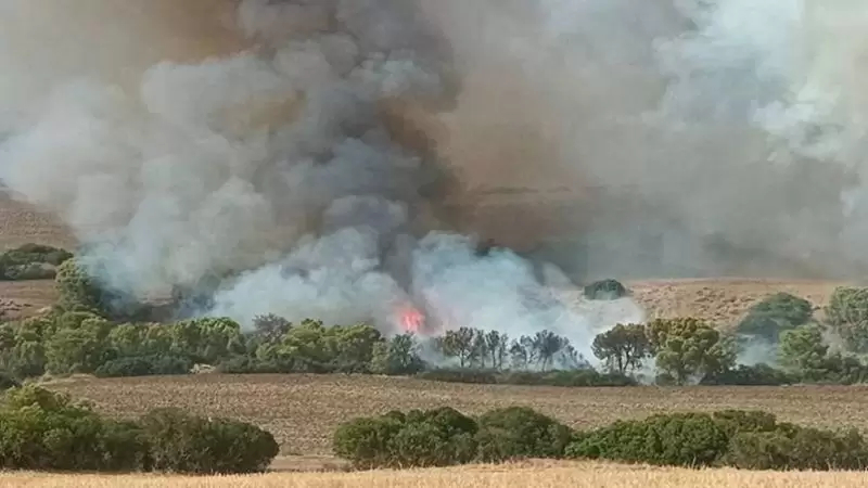 جبل الفر اشيش