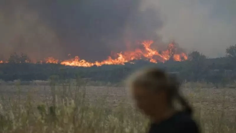 حرائق الغابات