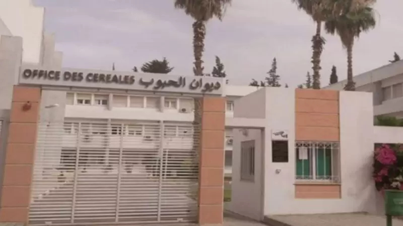 ديوان الحبوب