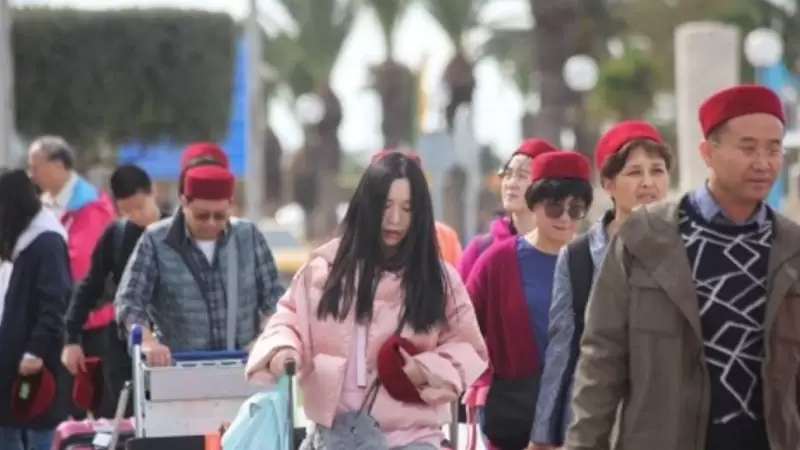 ديوان السياحة