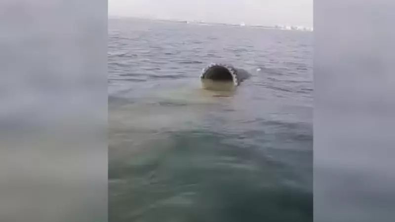 سوسة.. فتح تحقيق إثر سكب مياه ملوثة بشاطئ القنطاوي