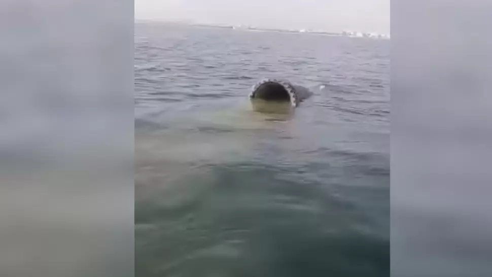 سوسة.. فتح تحقيق إثر سكب مياه ملوثة بشاطئ القنطاوي