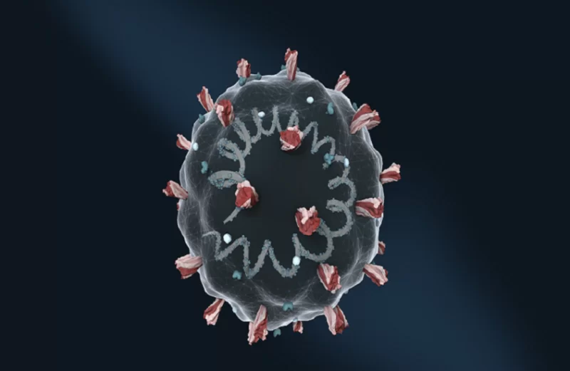 عالم فيروسات البشرية مستعدة لأوبئة محتملة