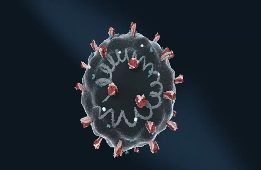 إثيوبيا.. وفاة 6 أشخاص بفيروس “ماربورغ” الخطير إثيوبيا.. وفاة 6 أشخاص بفيروس “ماربورغ” الخطير