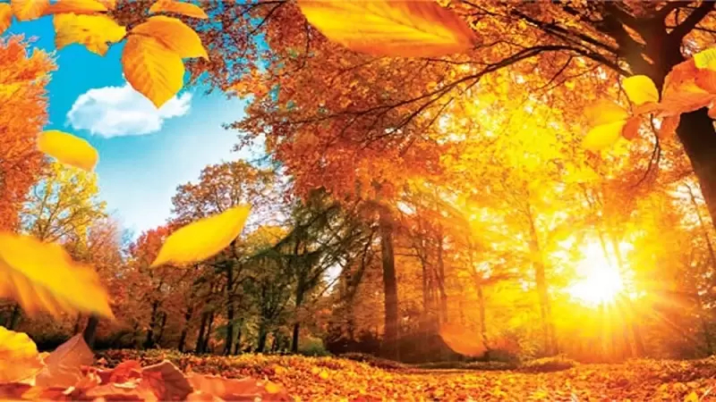 الرصد الجوي: حرارة فوق المعدلات المرجعية خلال فصل الخريف