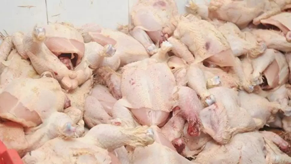 قفصة/ حجز كميات من لحوم الدواجن بمسلخ عشوائي