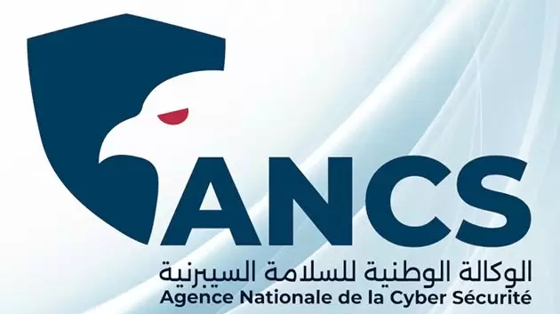 وكالة السلامة السيبرنية