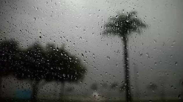 أمطار غزيرة مع تساقط للبرد بهذه الولاية