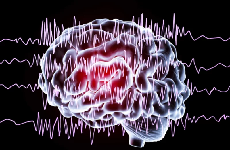 إنجاز غير مسبوق.. رسم خريطة لنشاط الدماغ أثناء اتخاذ القرار