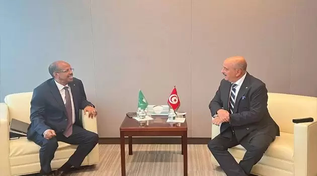 ماذا في لقاء وزير الخارجية برئيس مفوضية الاتحاد الأفريقي