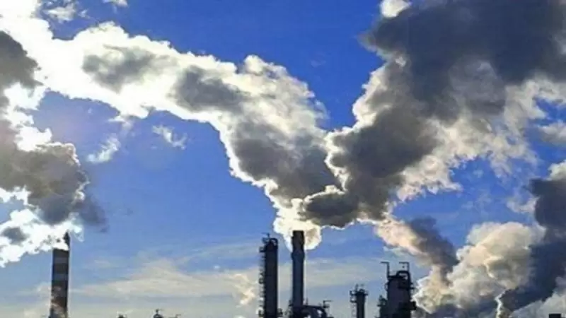 المجمع الكيميائي