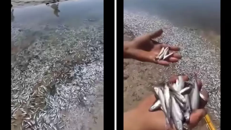 سليمان/ البحارة يطلقون نداء استغاثة