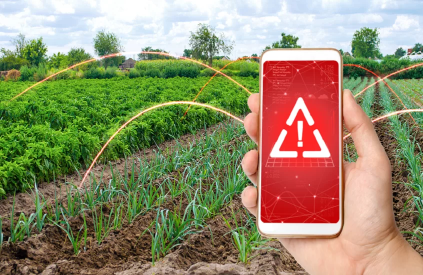 خطر صامت في أطباقنا.. بلاستيك مجهري يتسلل إلى الخضراوات يهدد الصحة!