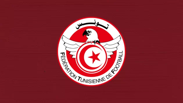 جامعة كرة القدم: تركيبة اللجان المستقلة