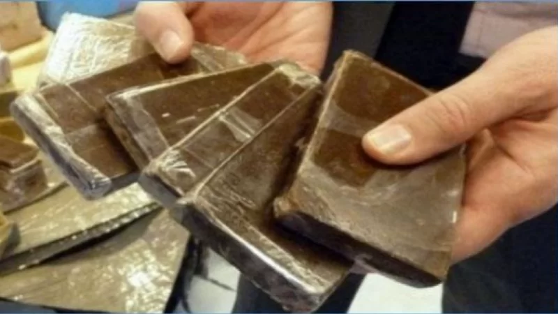 ضبط 400 كلغ ‘زطلة’ بأحد موانئ سوسة