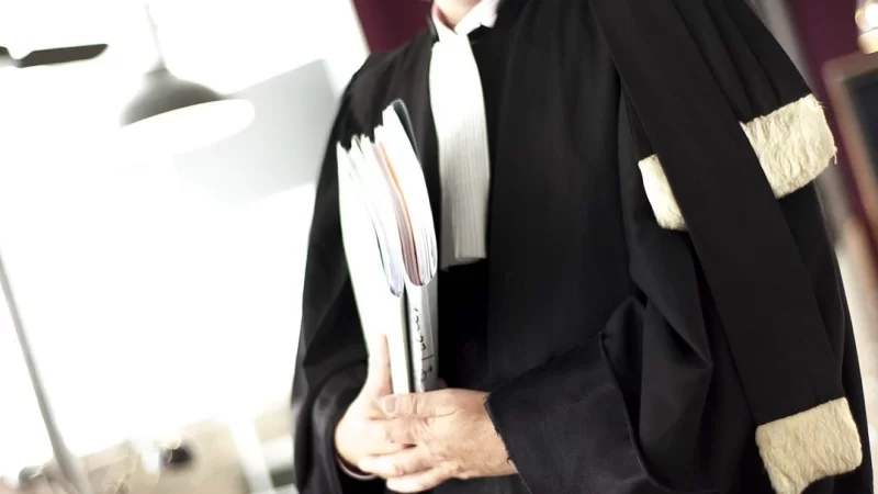 عمادة المحامين