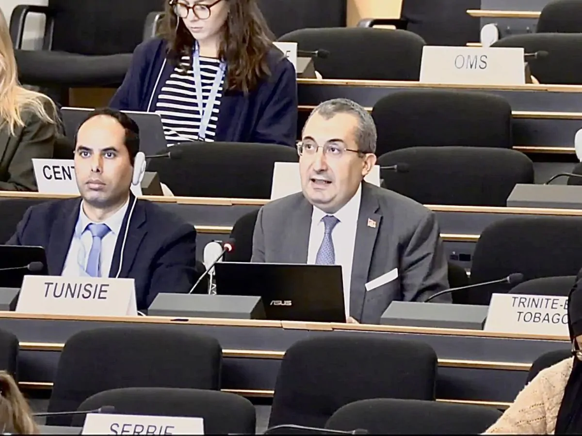 جنيف.. البعثة التونسية تدعو لإنهاء احتلال الأراضي السورية