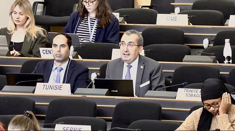 جينيف.. البعثة التونسية تدعو لإنهاء احتلال الأراضي السورية