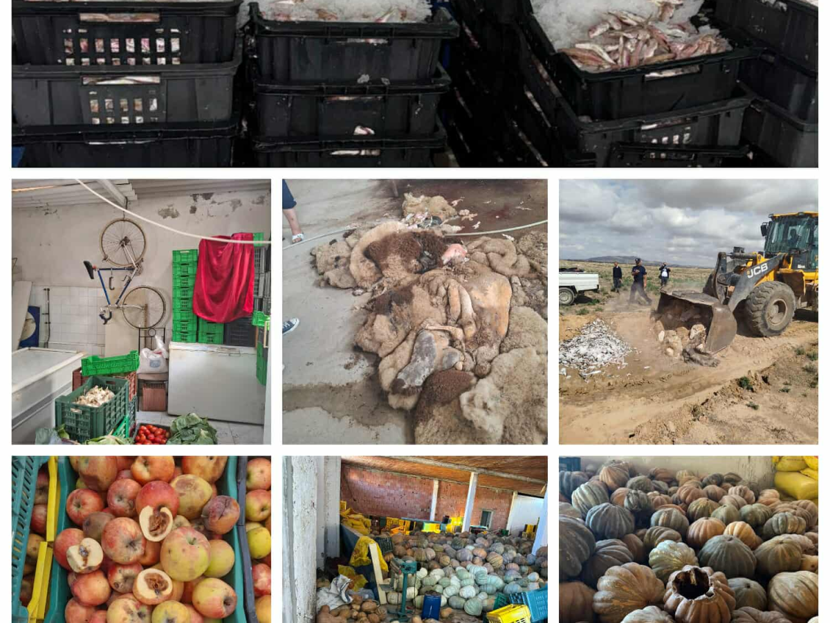 حجز أكثر من 29 طناً من المواد الغذائية الفاسدة بعدد من الولايات