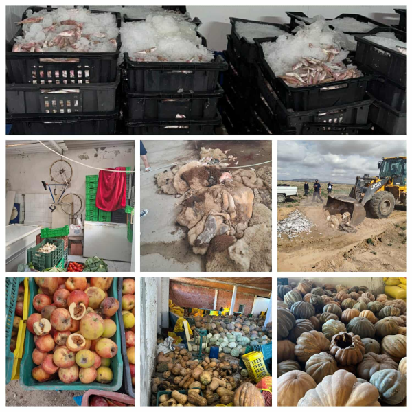 حجز أكثر من 29 طناً من المواد الغذائية الفاسدة بعدد من الولايات