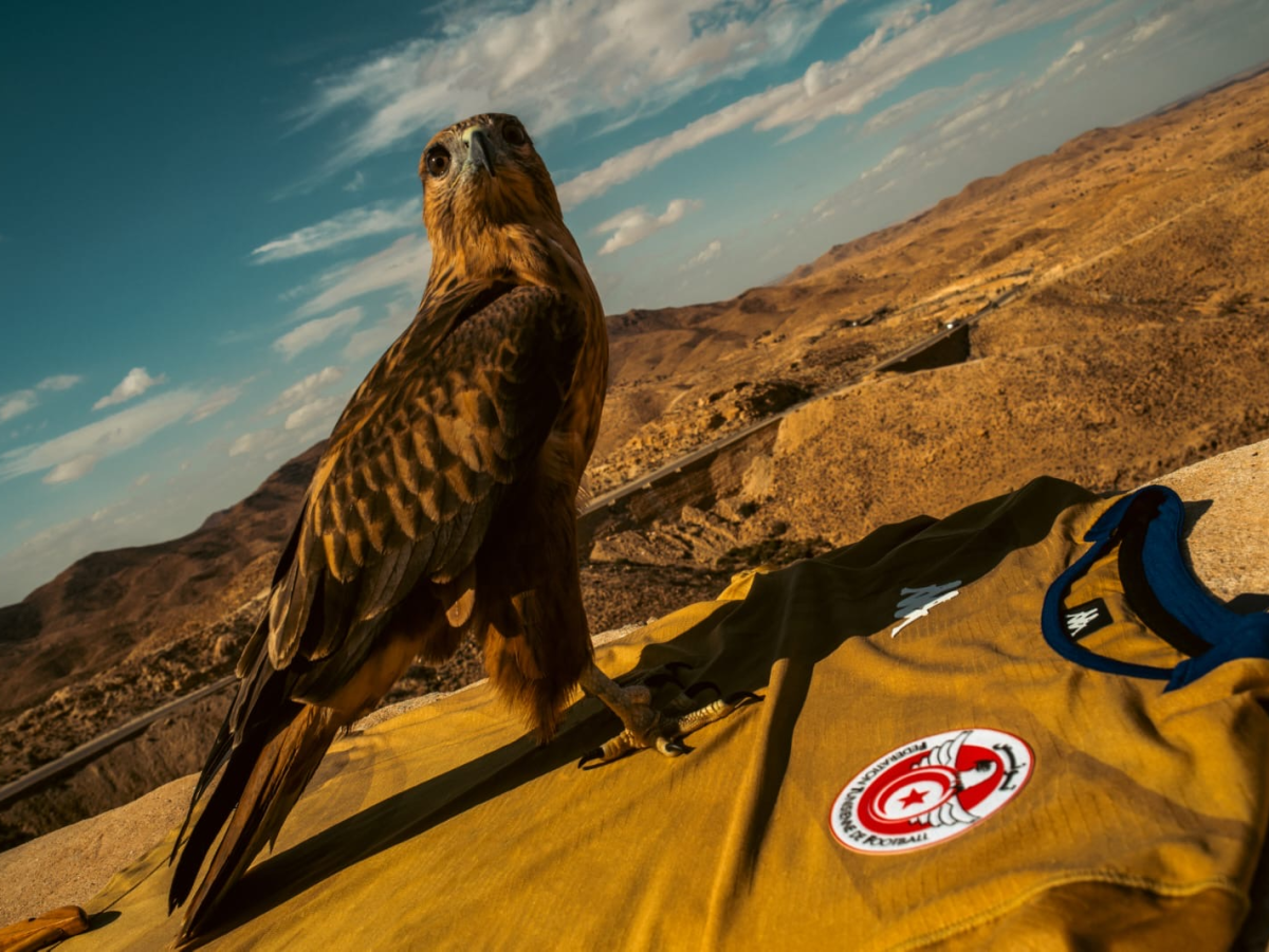 الكشف عن القميص الجديد للمنتخب الوطني (صور+ فيديو) الكشف عن القميص الجديد للمنتخب الوطني (صور+ فيديو)