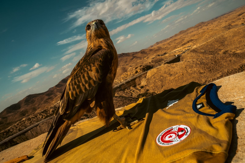 الكشف عن القميص الجديد للمنتخب الوطني