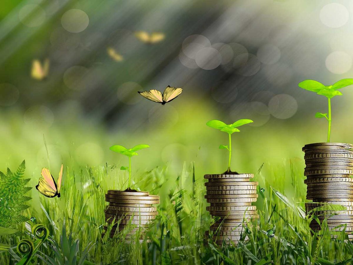 الإثنين.. إطلاق آلية تمويل الاقتصاد الأخضر في تونس