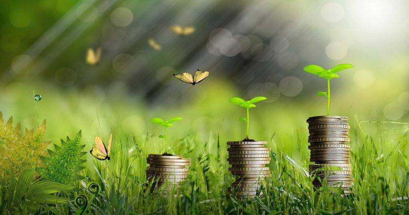 الاقتصاد الأخضر