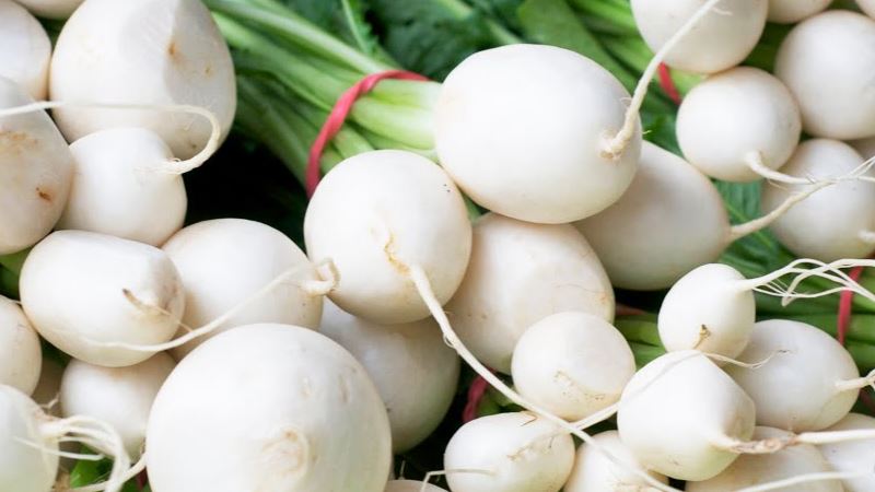 بعد توقف لموسمين.. انطلاق موسم زراعة اللفت السكري