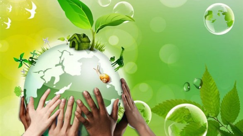 لأول مرة.. تونس تتحصل على الاعتماد من الصندوق الأخضر للمناخ