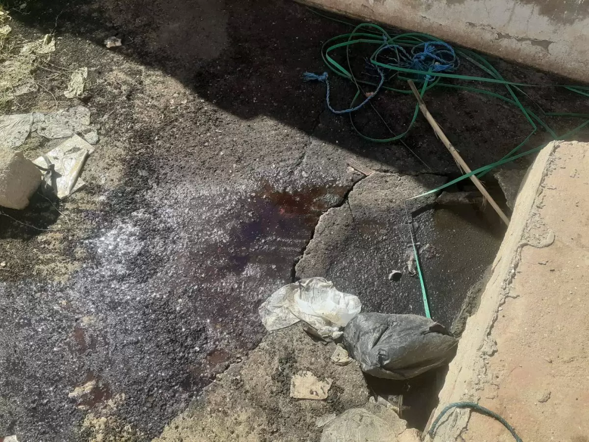 بعد معاينة اخلالات.. اغلاق المسلخ البلدي في ماجل بلعباس