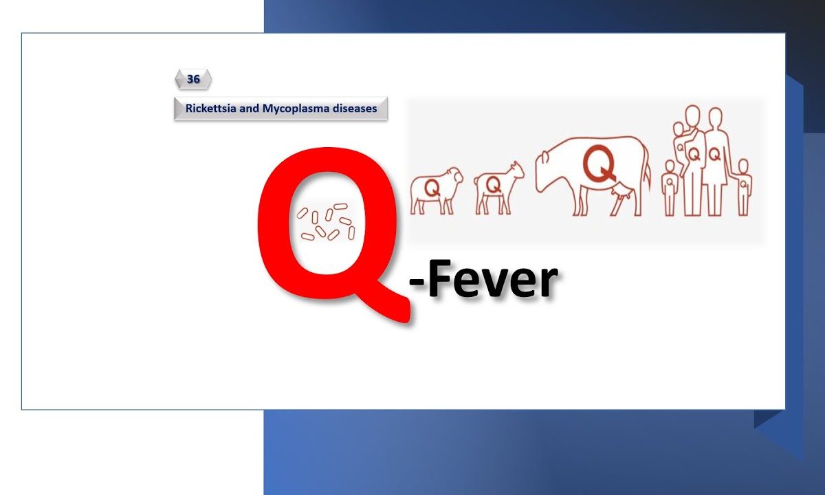 ظهور “حمى كيو” لأول مرة في ليبيا